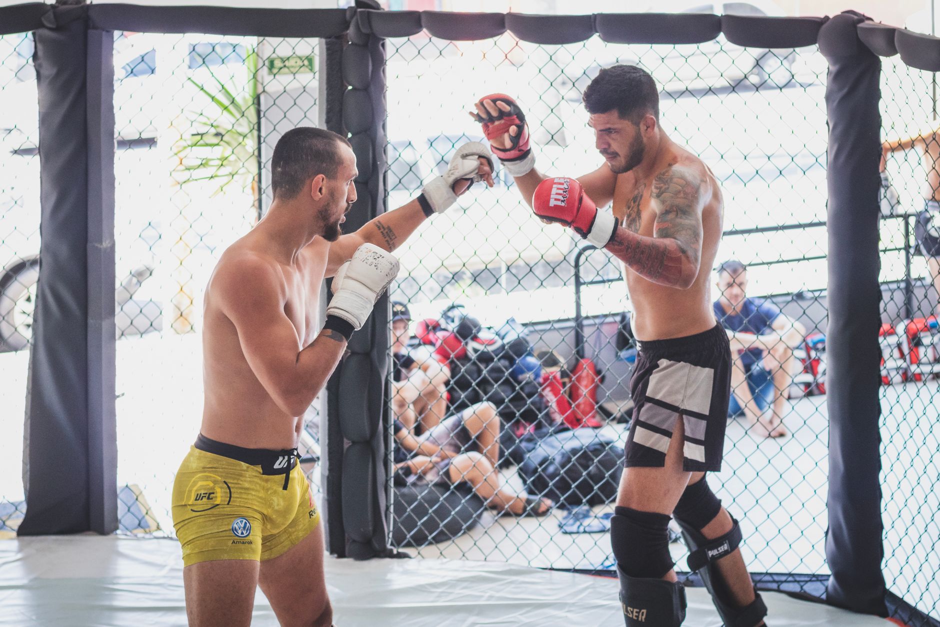 Two men engaged in an energetic MMA sparring session inside a gym's training cage.