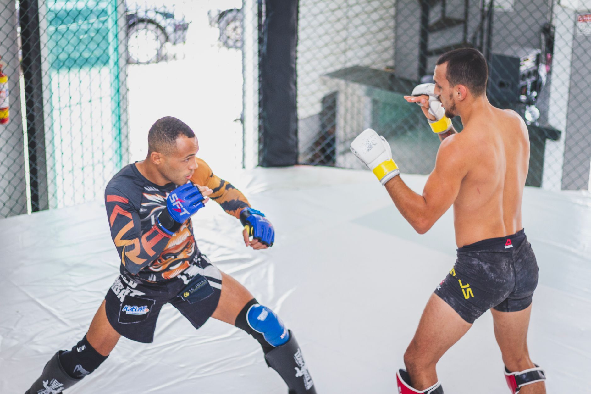 Two male fighters engaged in a mixed martial arts sparring session within a cage.