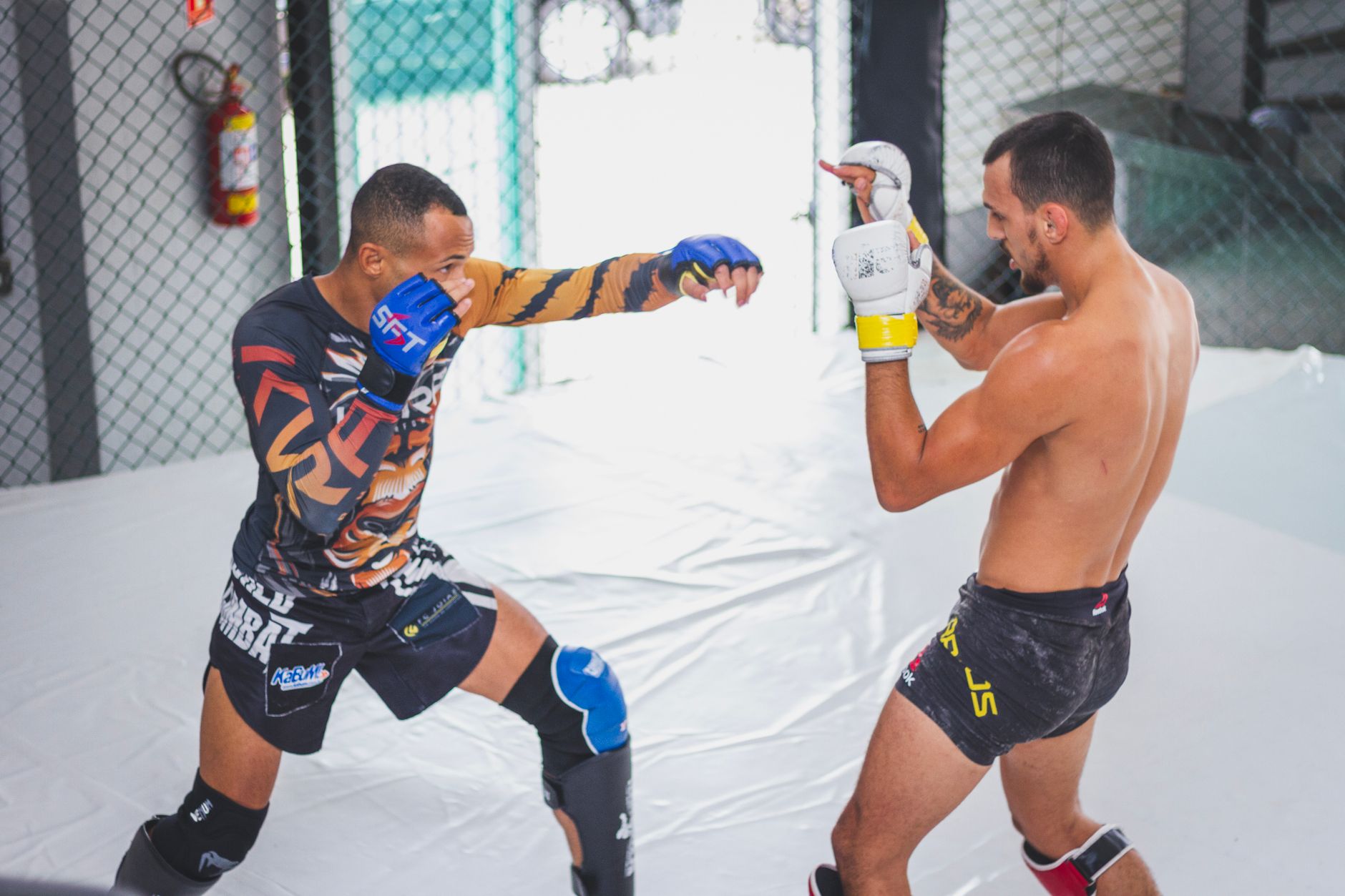Two fighters engaged in MMA training inside an octagon with sports gear.