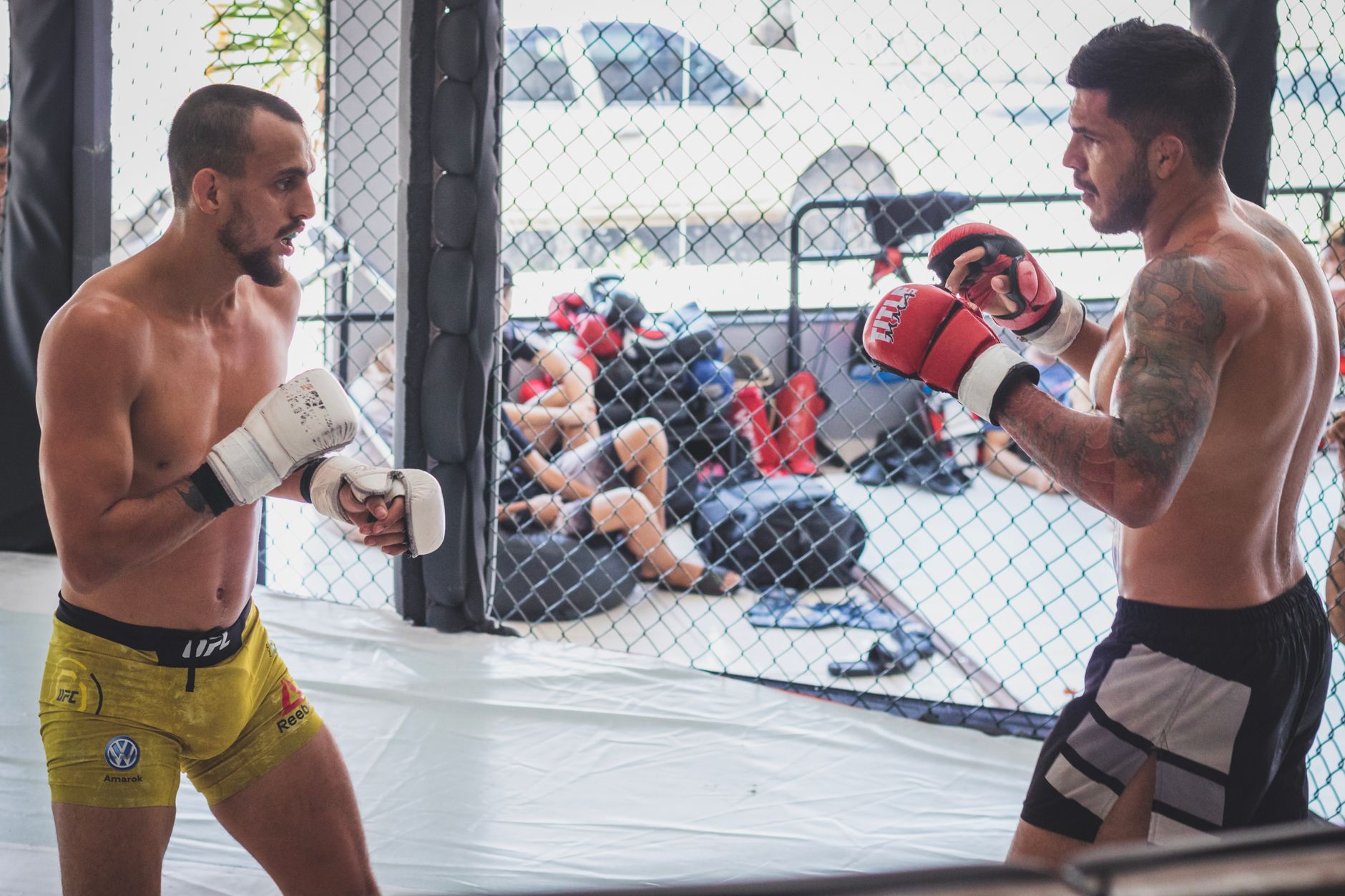 Two male fighters sparring in a gym cage, demonstrating martial arts training.