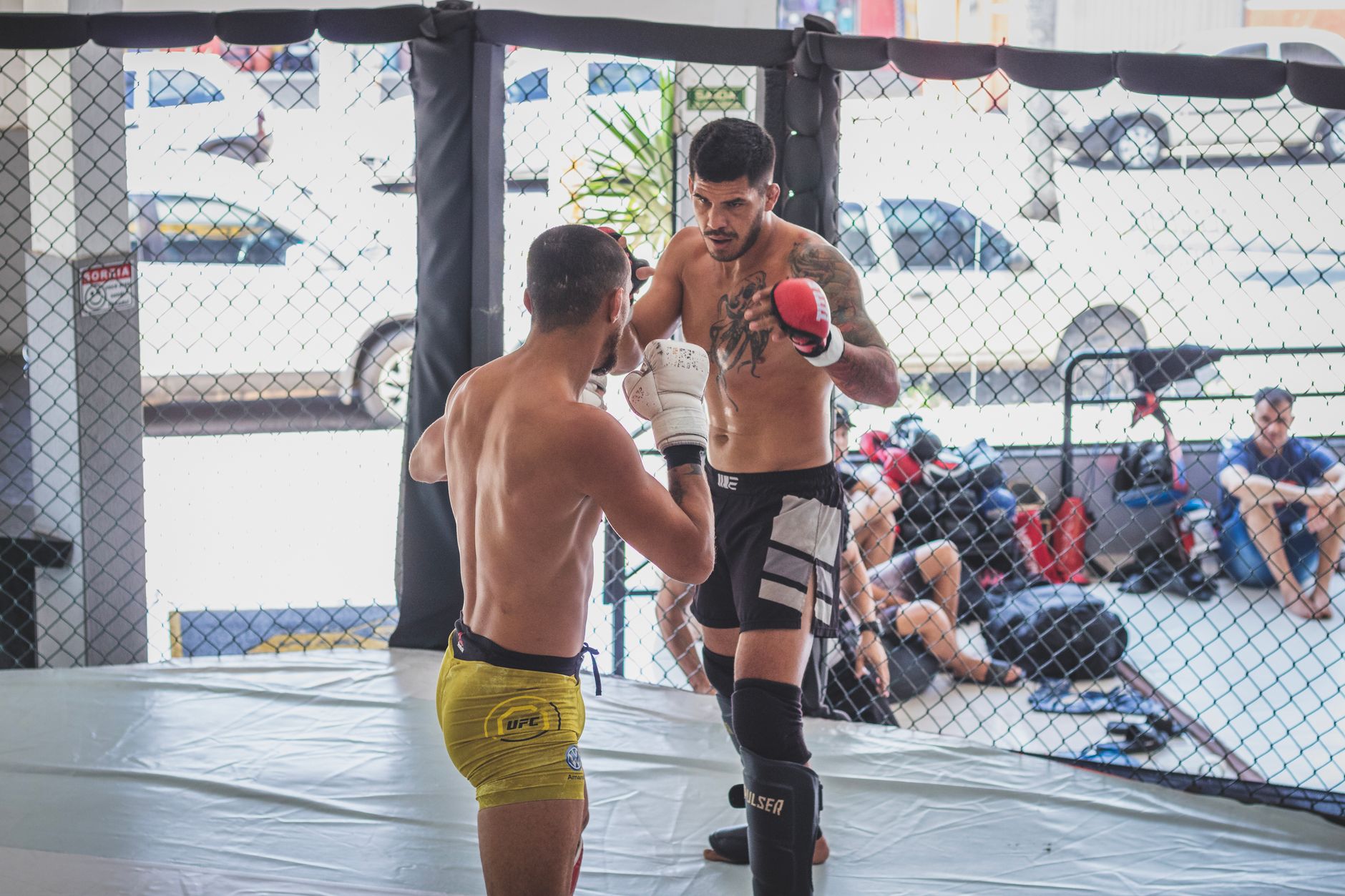 Two boxers engage in a sparring match, showcasing strength and rivalry in the ring.