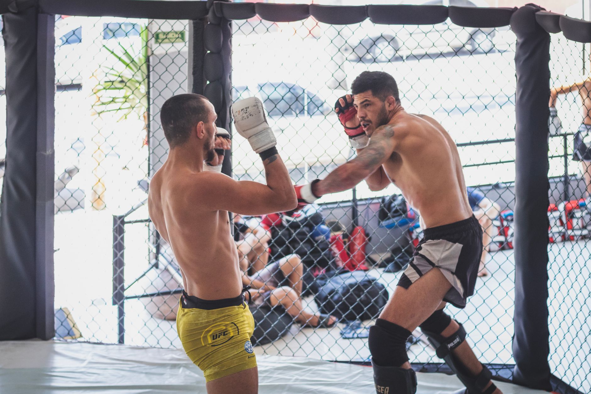 Intense training session of two men practicing mixed martial arts inside an MMA cage.