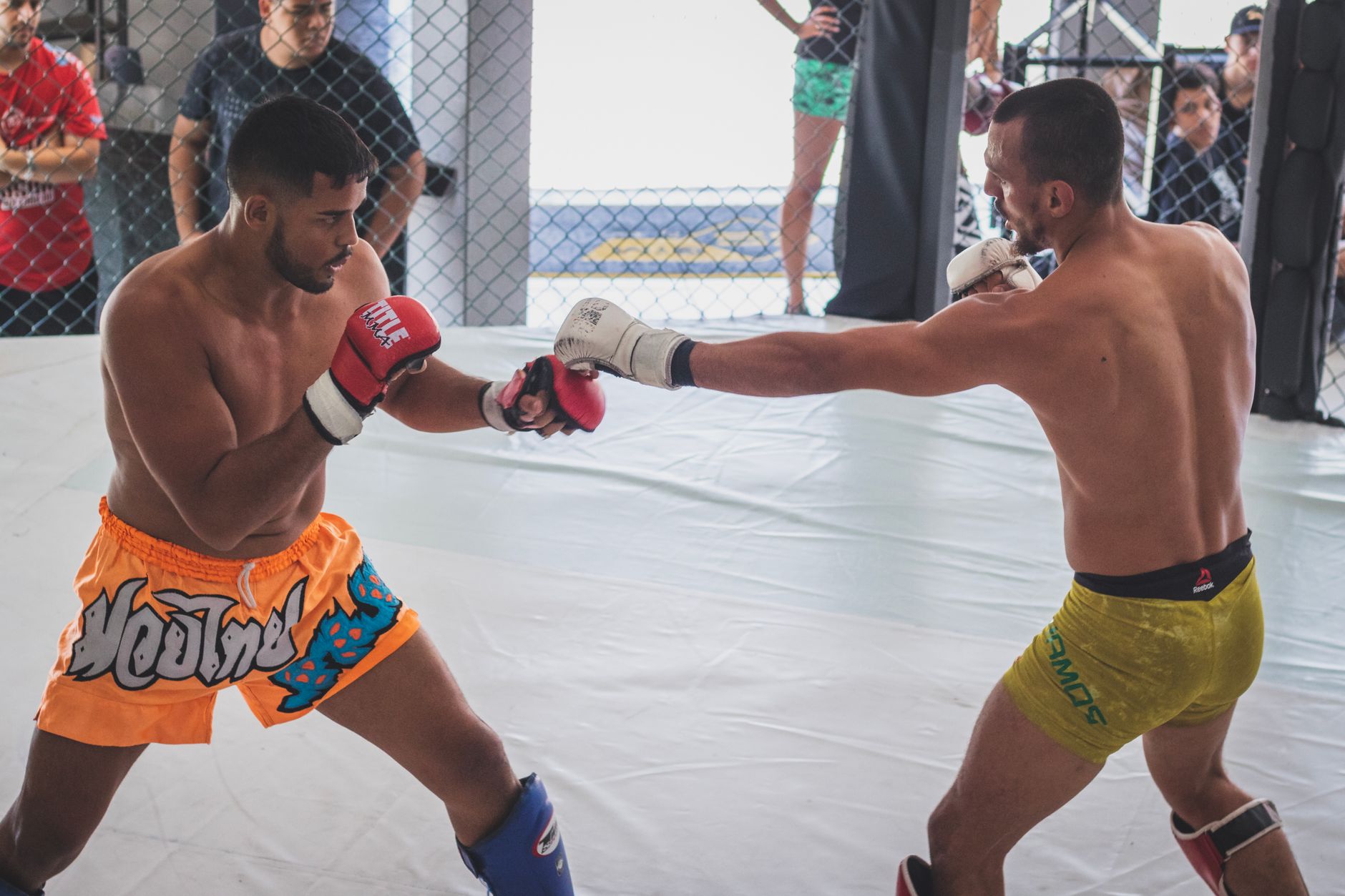 Two competitors engaged in an intense mixed martial arts bout in a cage arena.