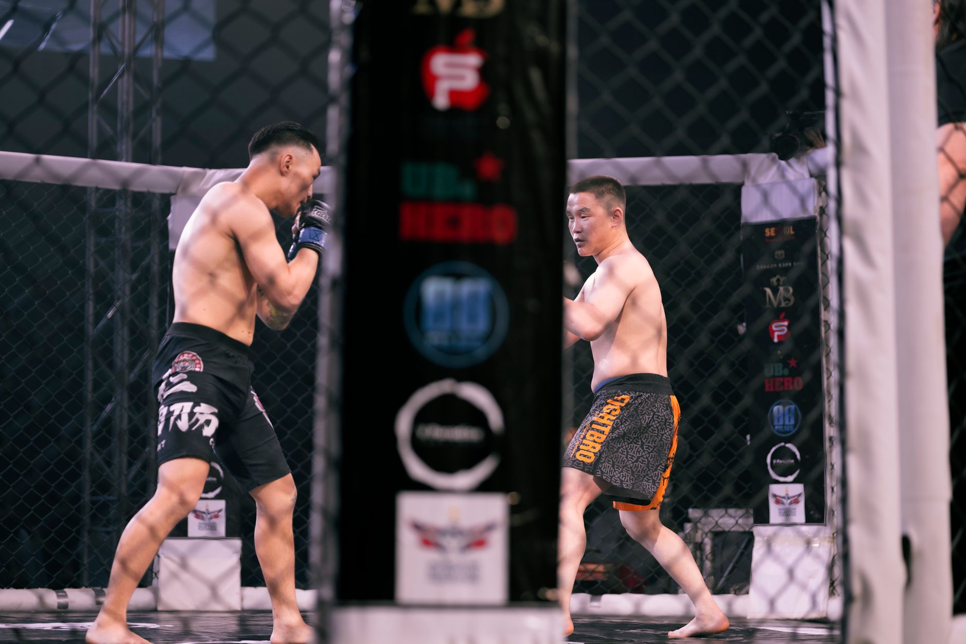 Two male fighters engaged in a thrilling MMA match inside an octagonal cage.