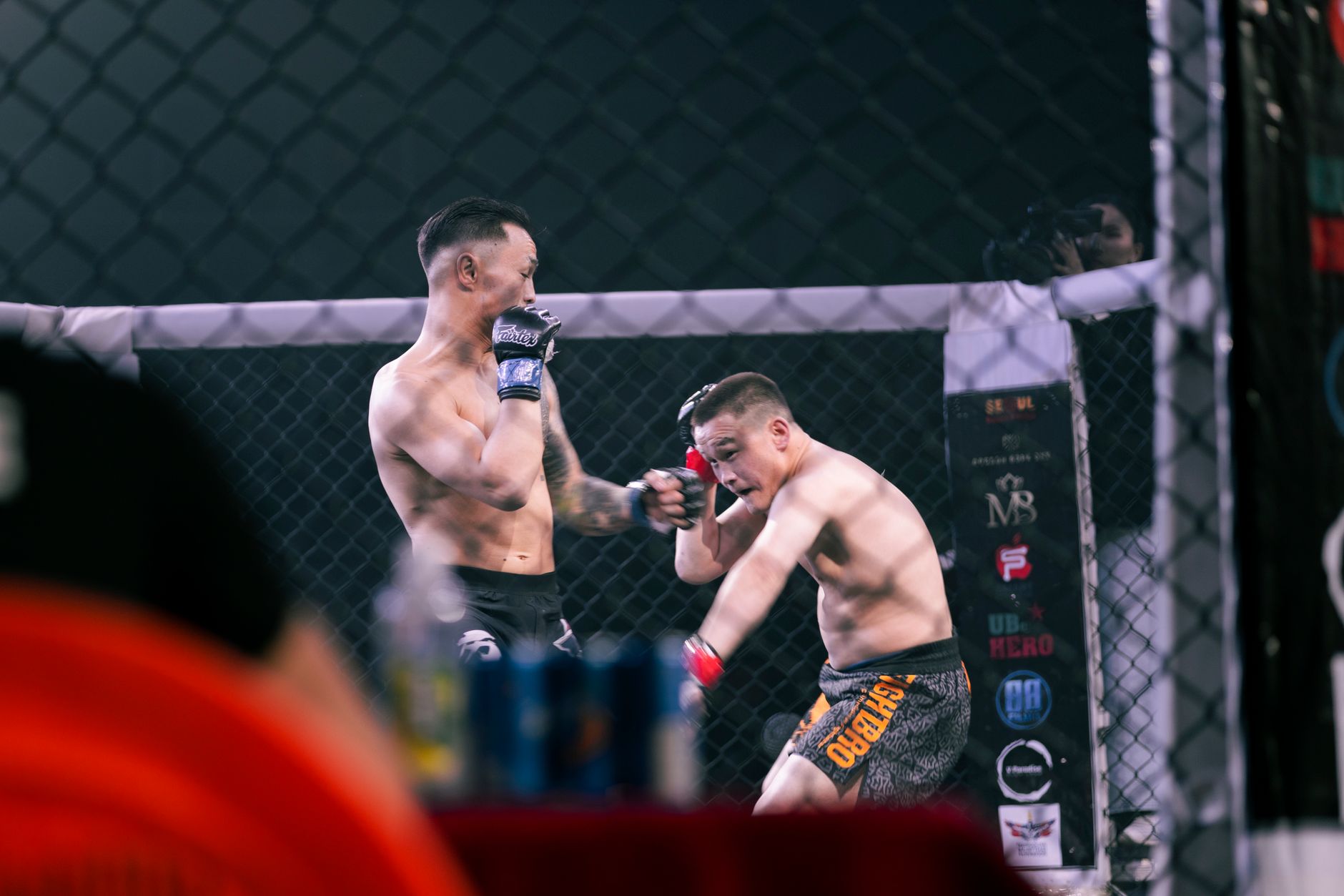 Two MMA fighters engaging in a fierce match inside a caged octagon ring, showcasing martial arts skills.