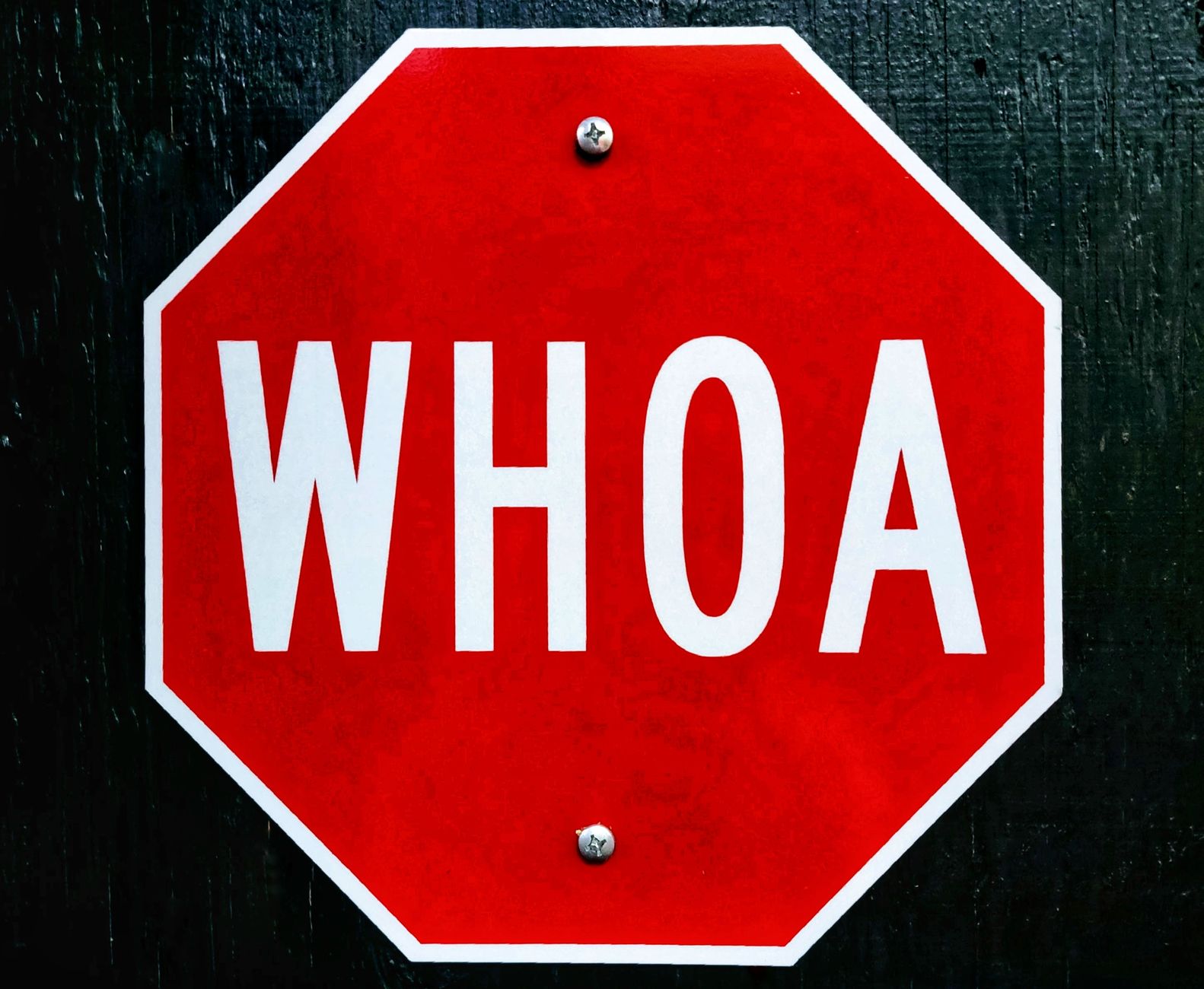 A bold red octagonal sign with 'WHOA' text, evoking humor and surprise.